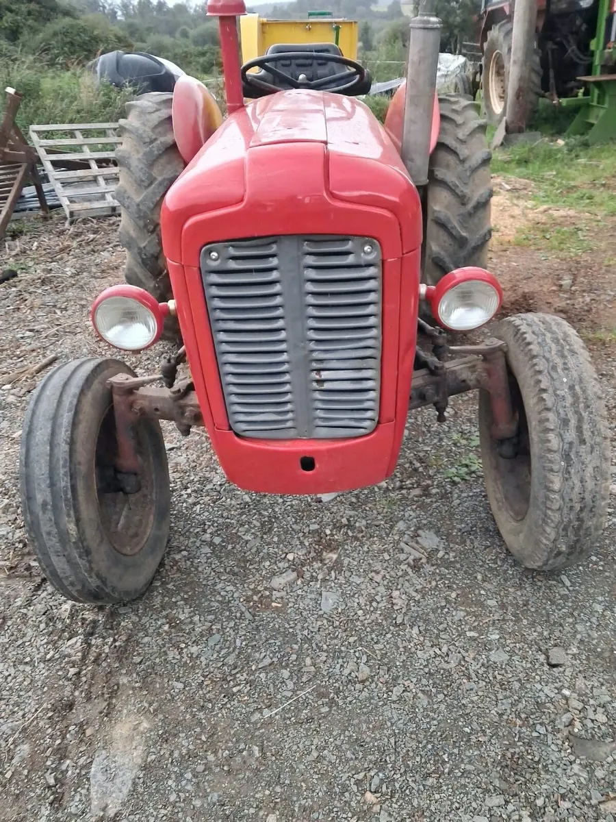 Massey Ferguson - Image 1
