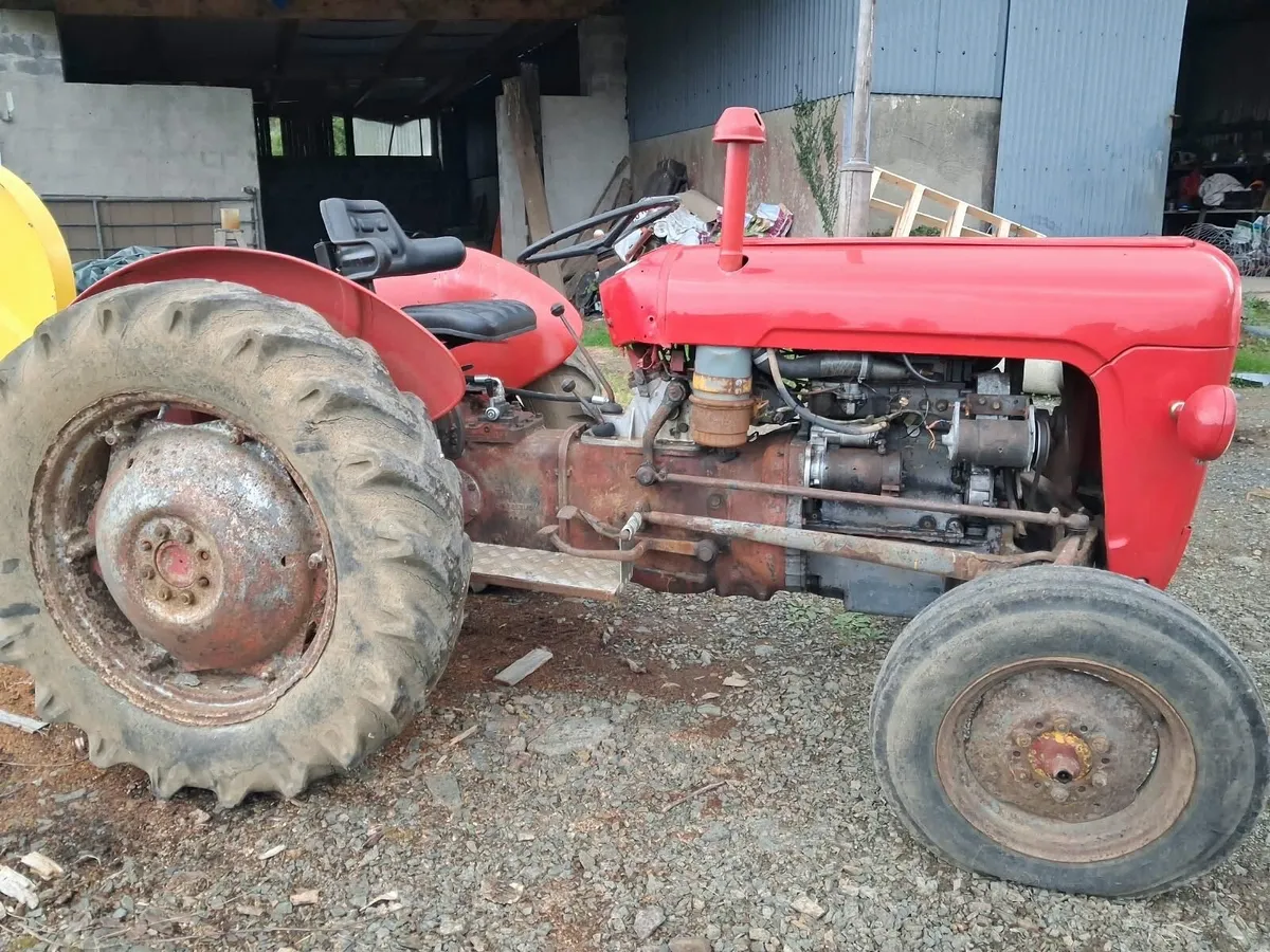 Massey Ferguson - Image 4