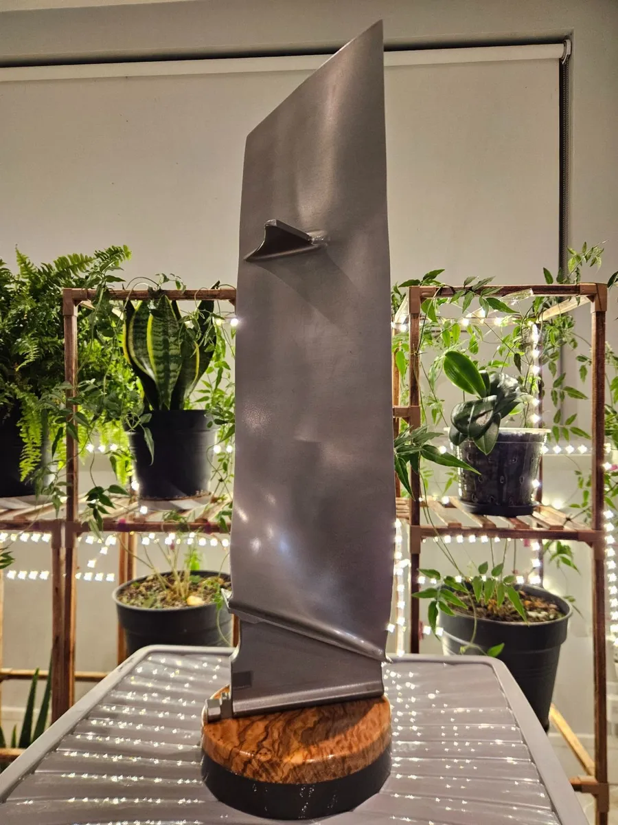 A320  FAN BLADE TROPHY - Image 3