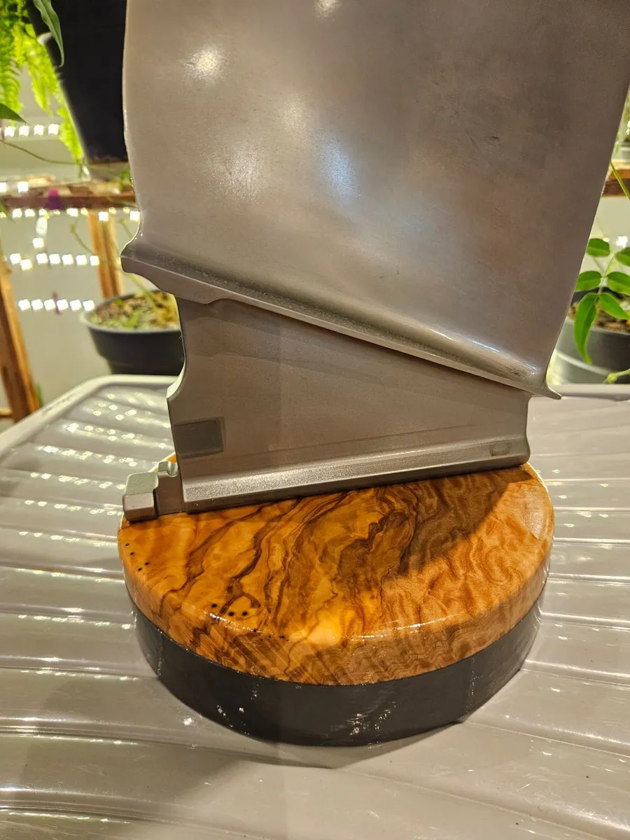 A320  FAN BLADE TROPHY - Image 2