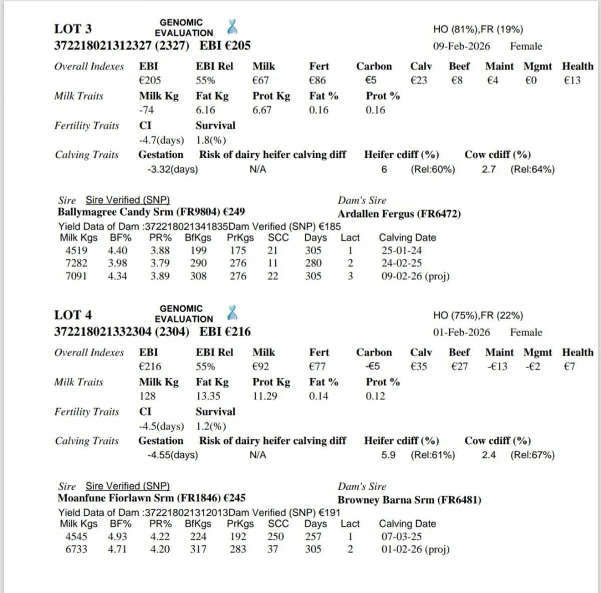 6 Top class weanling heifers - Image 2