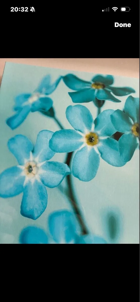 3D Floral Picture - Image 2