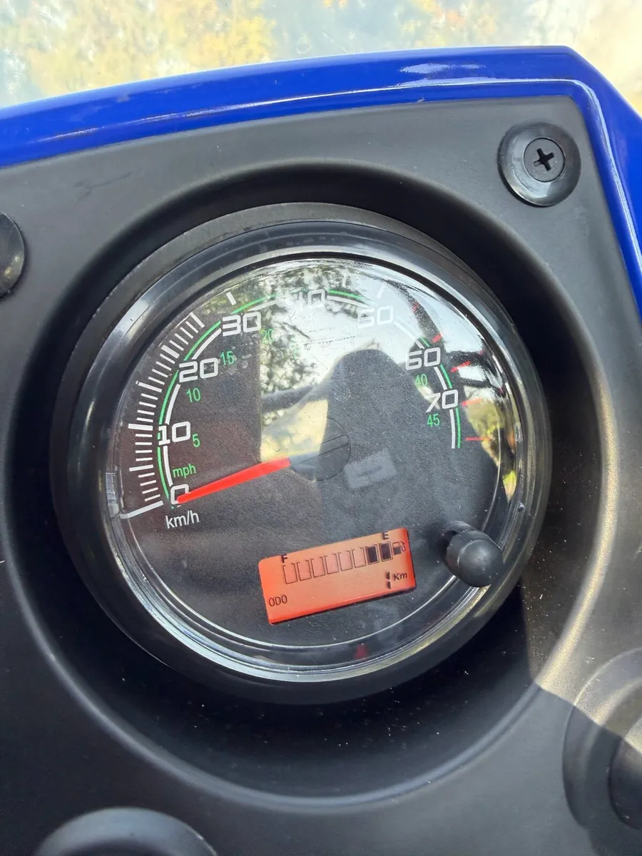 Brand New 200cc Dune Buggy / UTV - Image 4