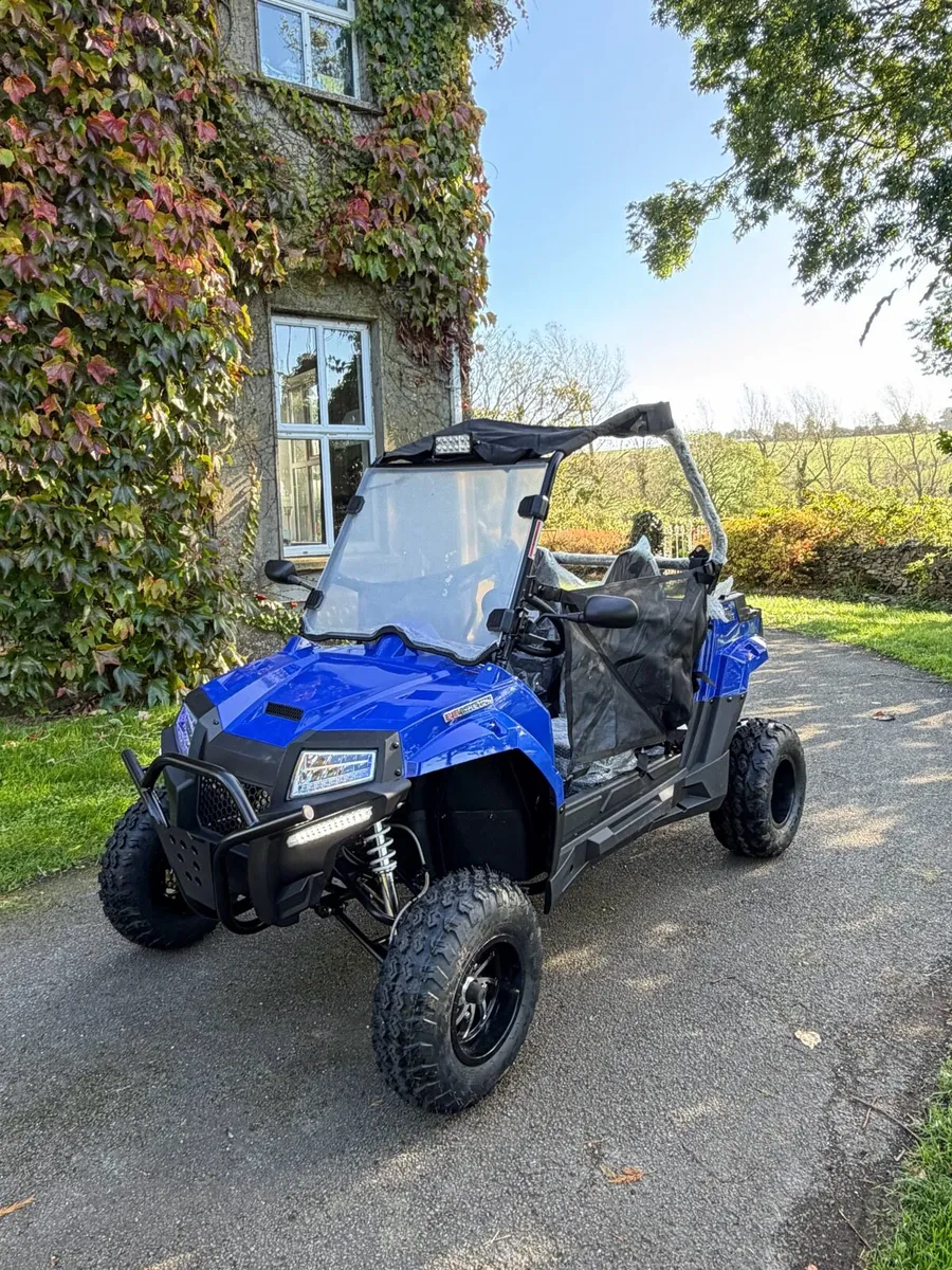 Brand New 200cc Dune Buggy / UTV - Image 1