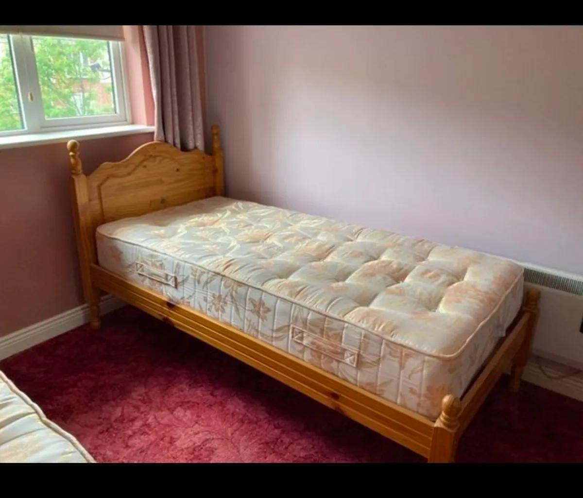 Sibgle pine bed with new mattress x 2