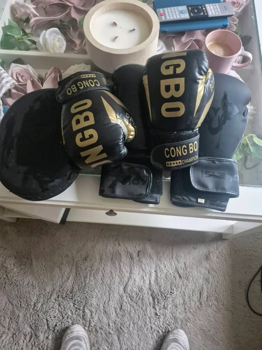 Male and female boxing gloves and pad - Image 1