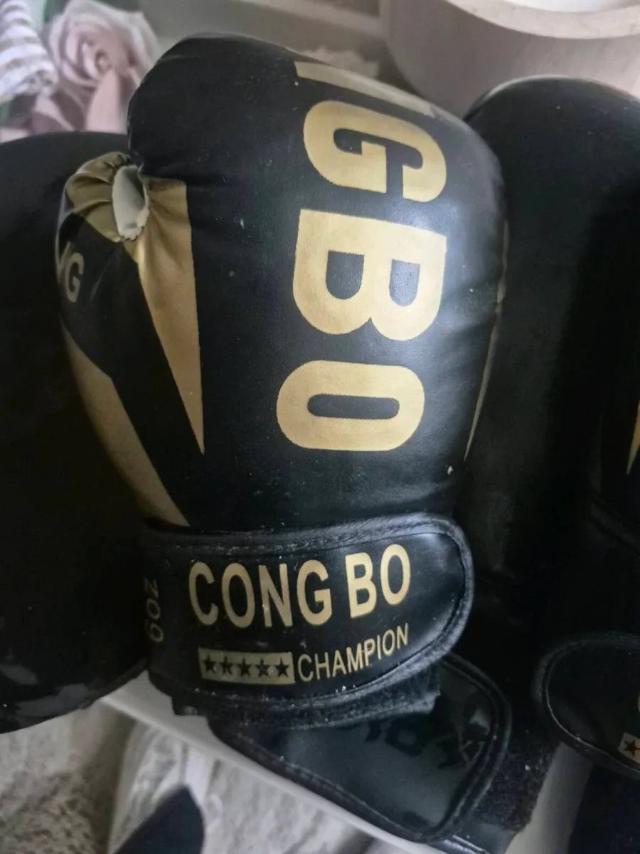Male and female boxing gloves and pad - Image 2
