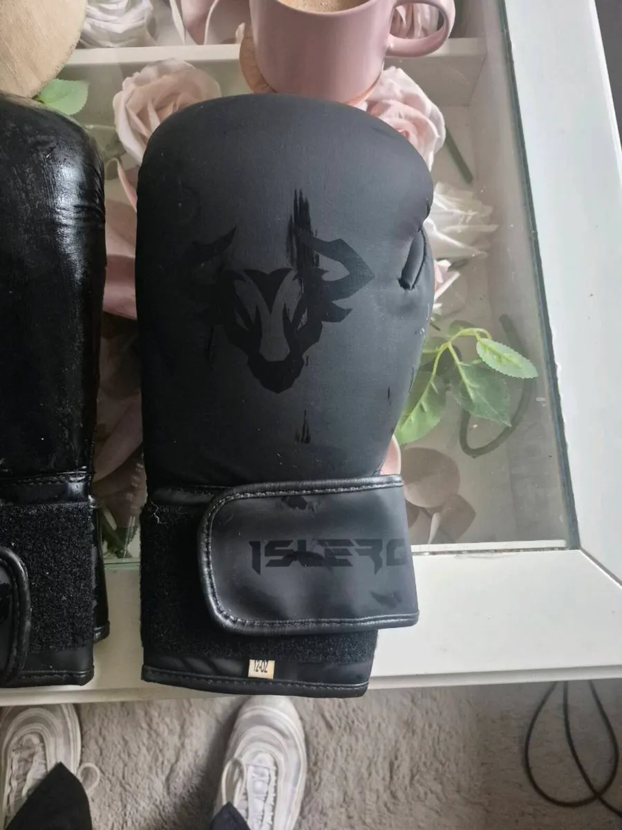 Male and female boxing gloves and pad - Image 3