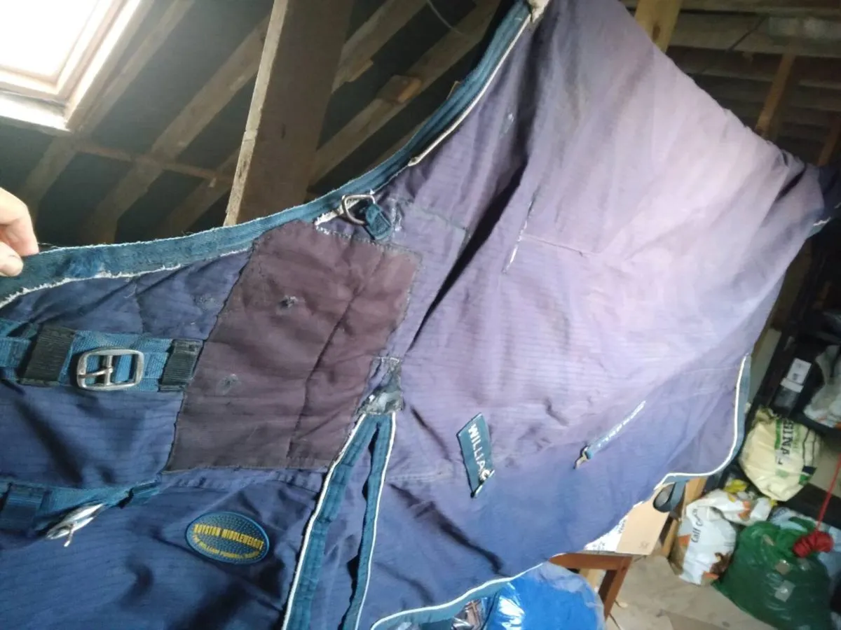 6'0 Turnout Rug.William Funnel Mediumweight - Image 4