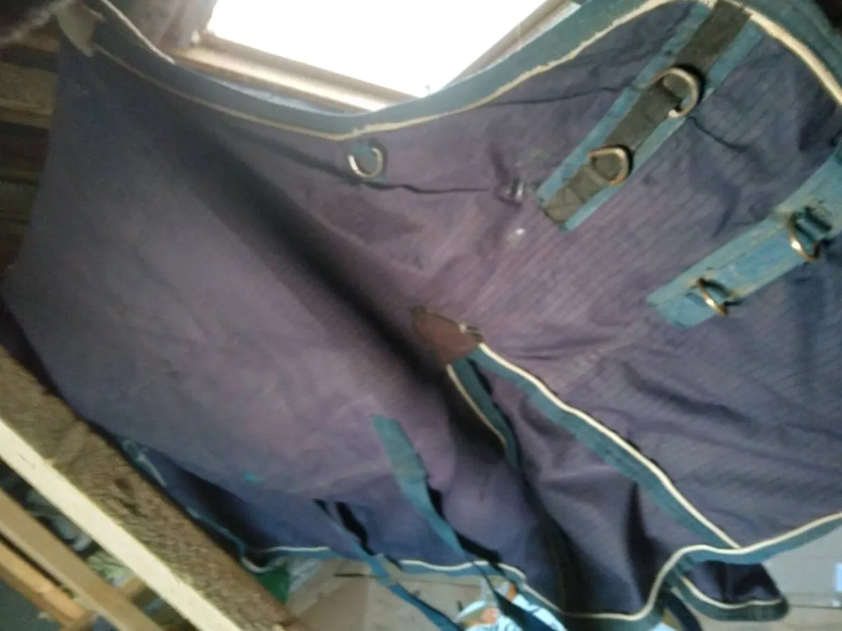 6'0 Turnout Rug.William Funnel Mediumweight - Image 1
