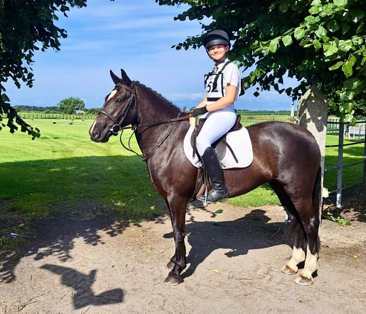 Pony Club 14hh Allrounder. - Image 4