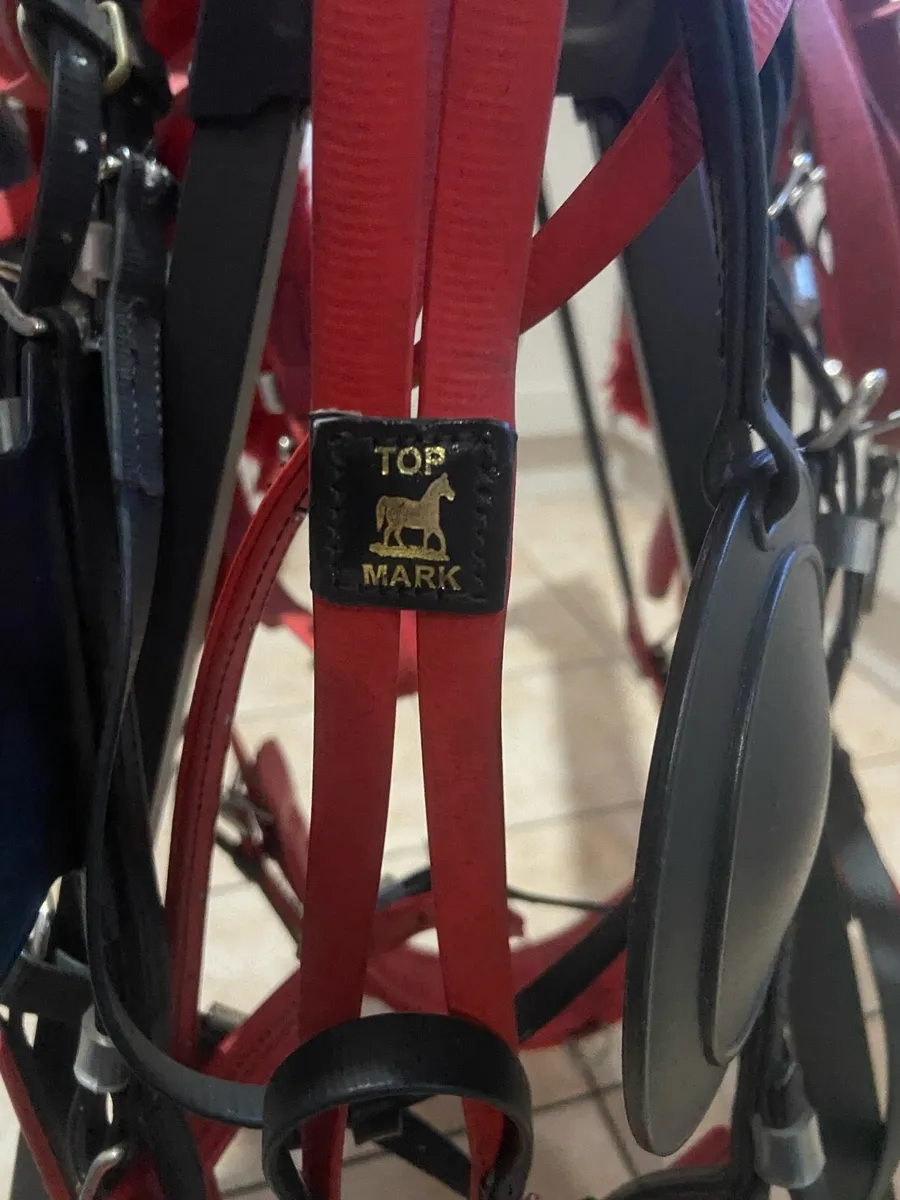 Top mark horse racing harness - Image 1