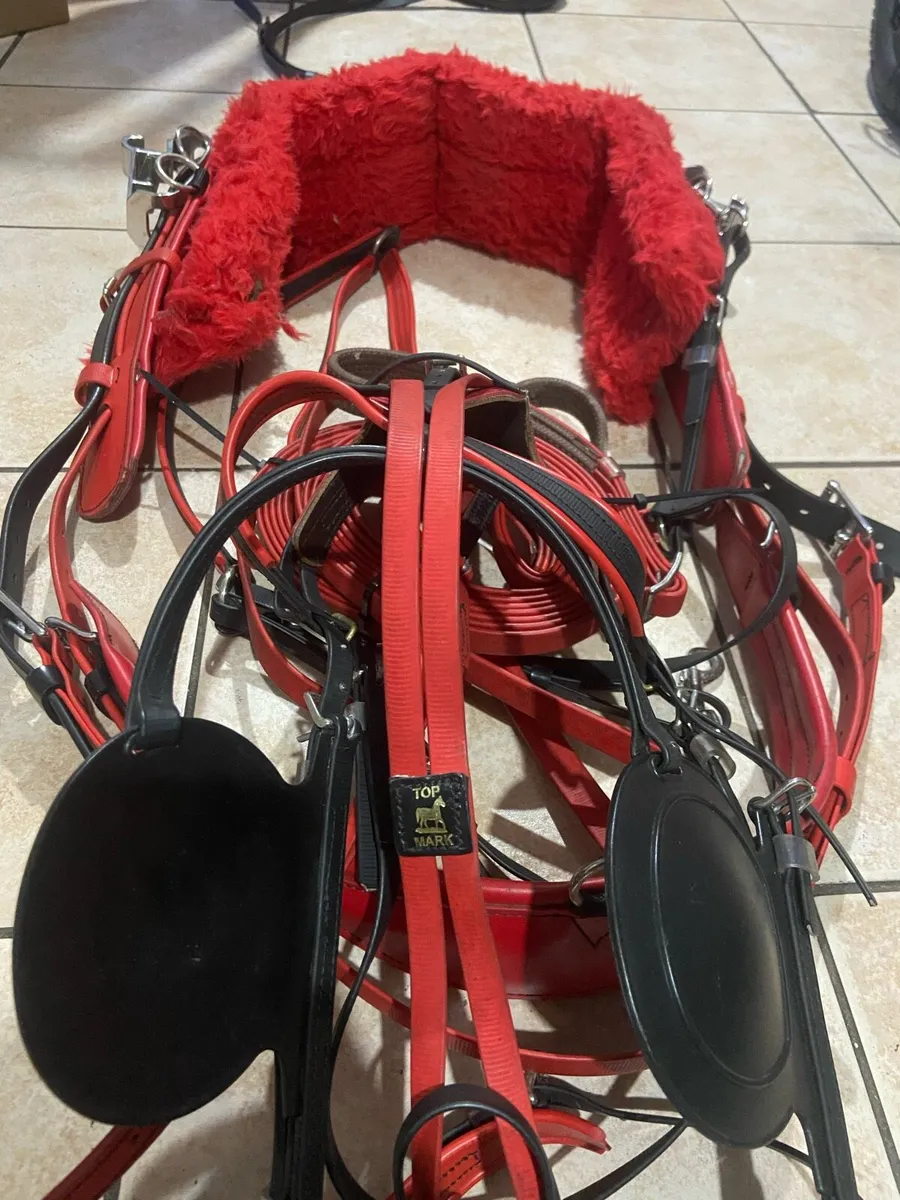 Top mark horse racing harness - Image 2