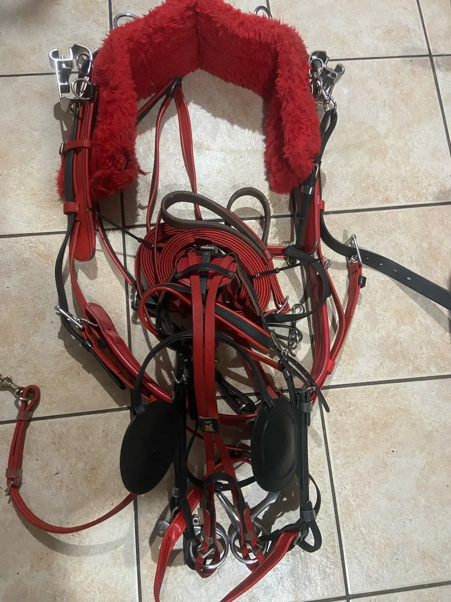Top mark horse racing harness - Image 3