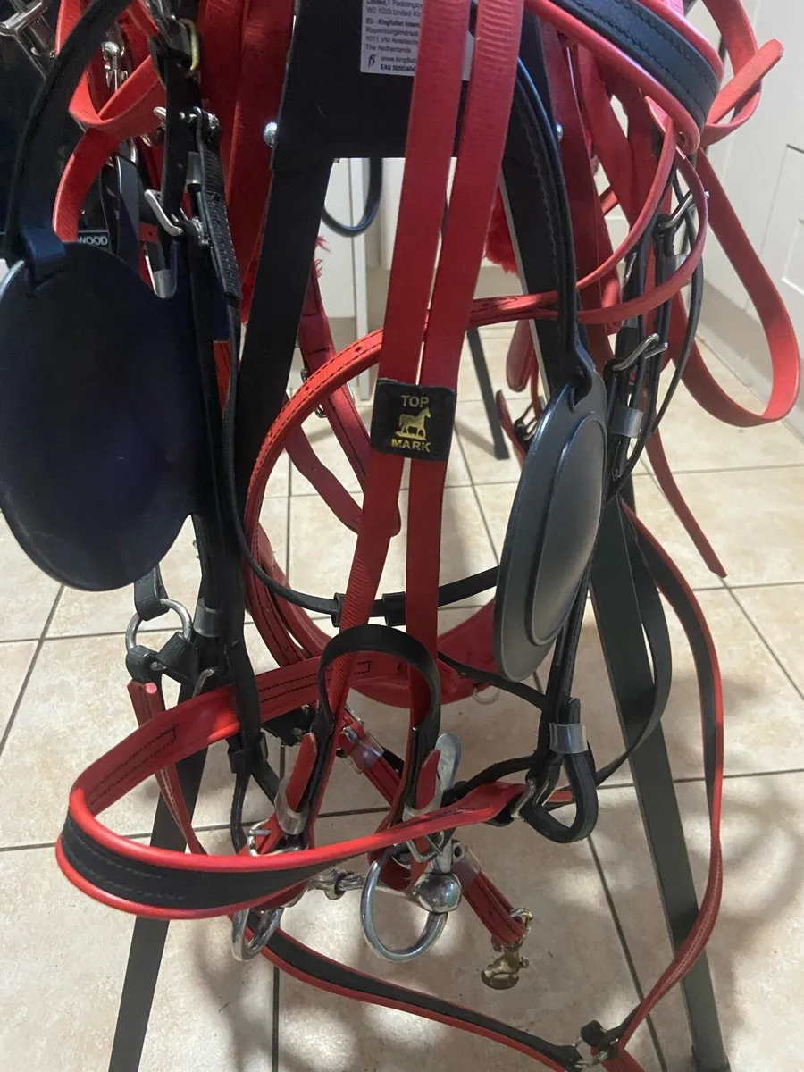 Top mark horse racing harness - Image 4