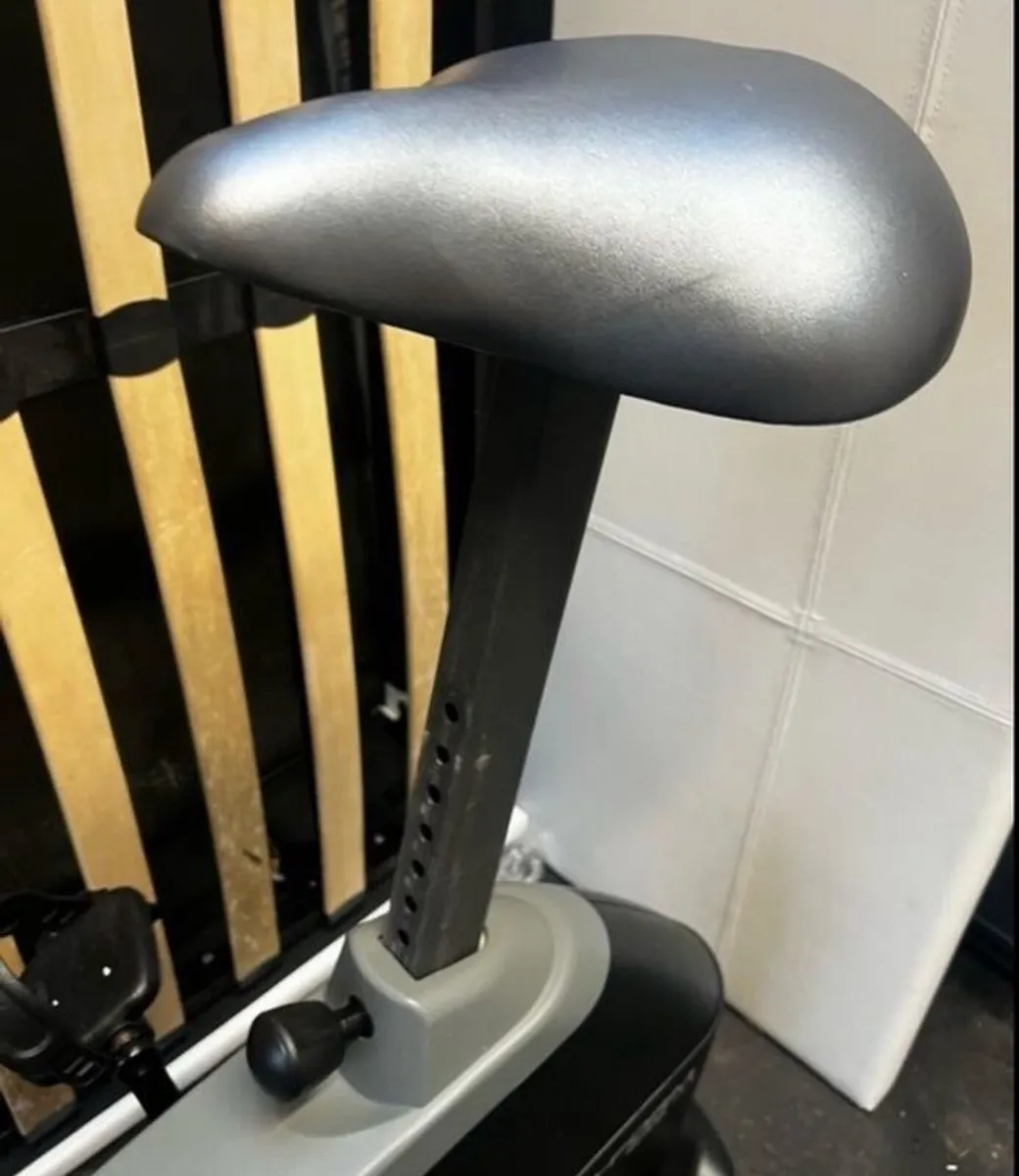 PROFORM 245 ZLX - Image 4
