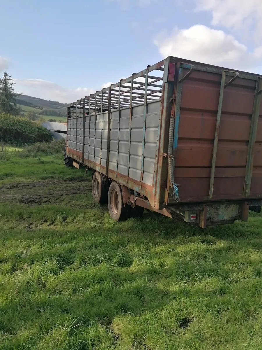Cattle trailer - Image 4