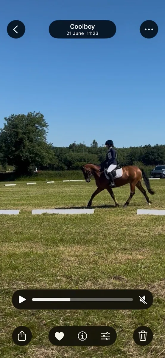 Pony - Image 2