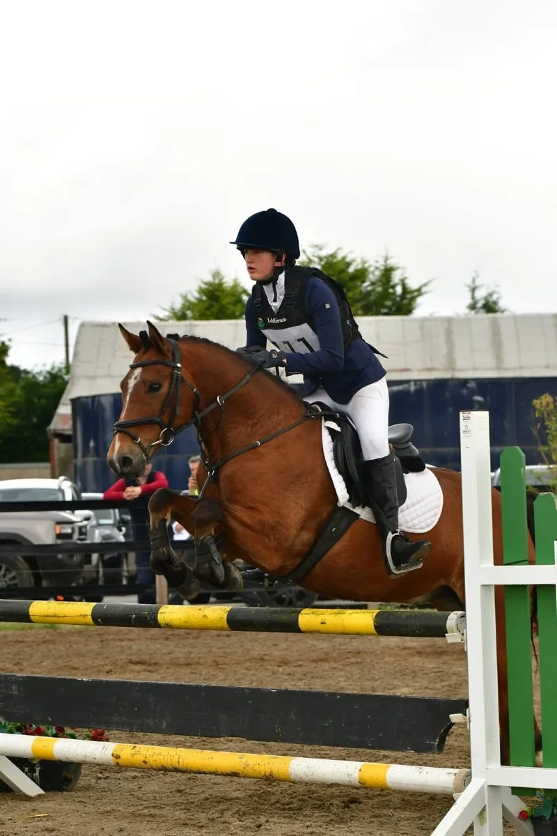 Pony - Image 3