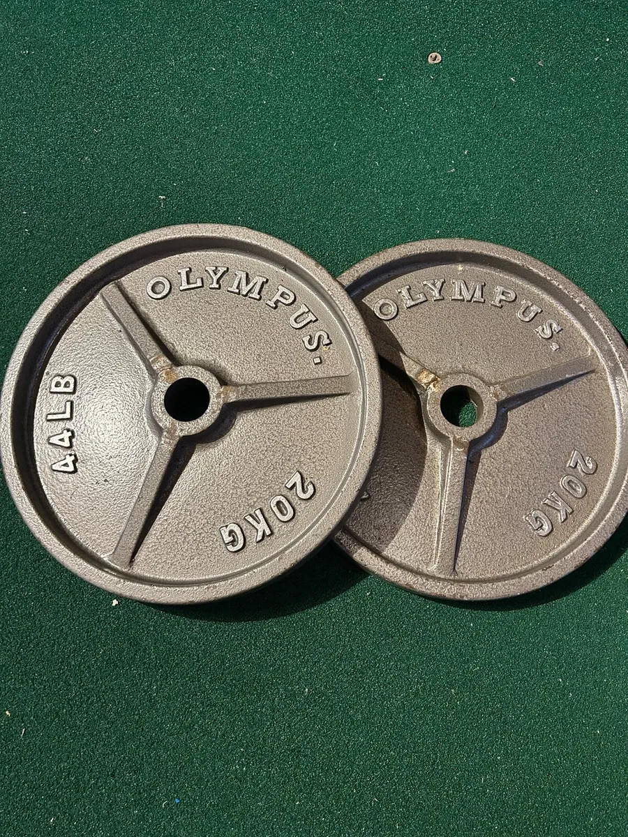 2 x 20kg Olympic plates