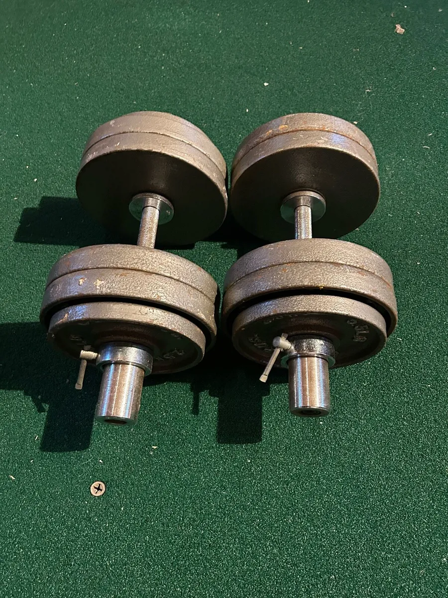 Olympic Dumbbells and plates - Image 1