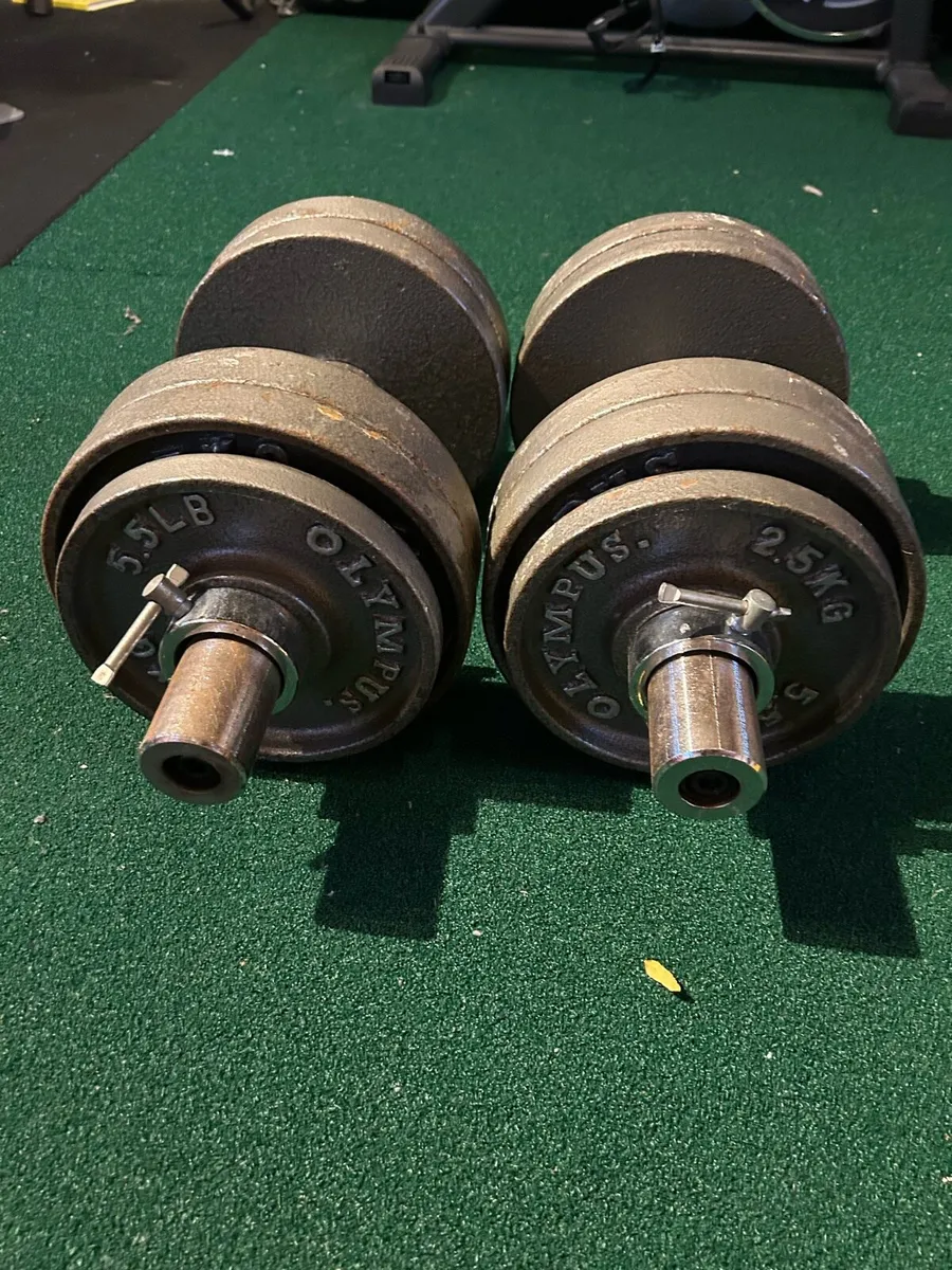 Olympic Dumbbells and plates - Image 2