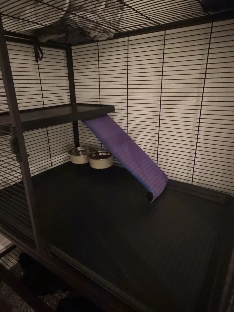 Vevor animal cage - Image 2