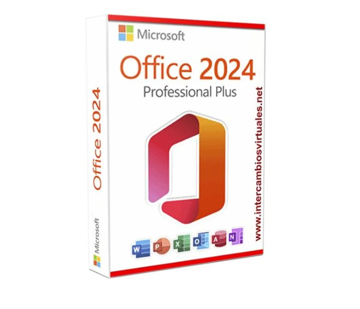 Microsoft Office Professional Plus 2024 License