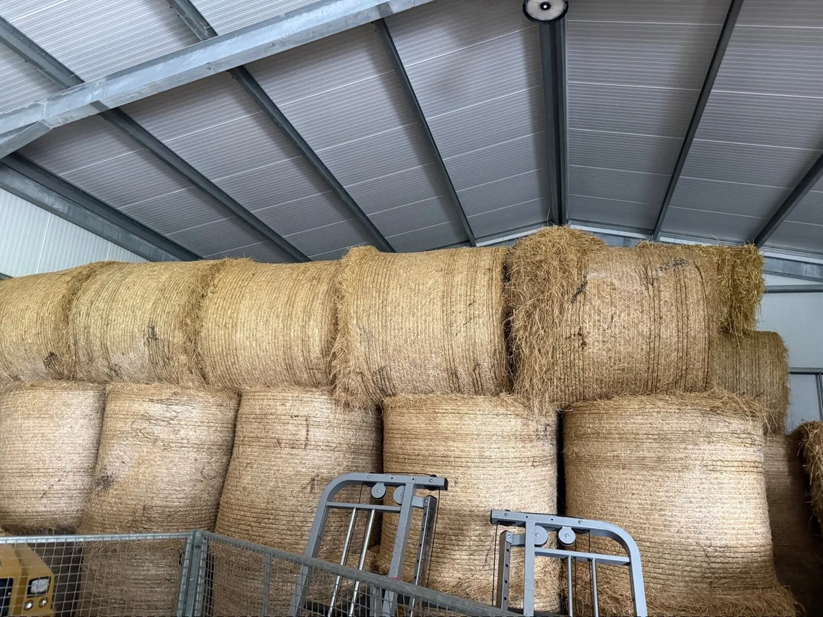 Hay