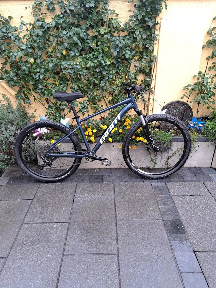 Bikes - Image 4