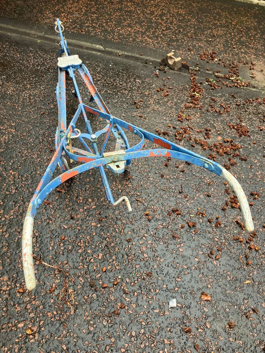 Vintage Horse Grubber - 5 tines - Image 4