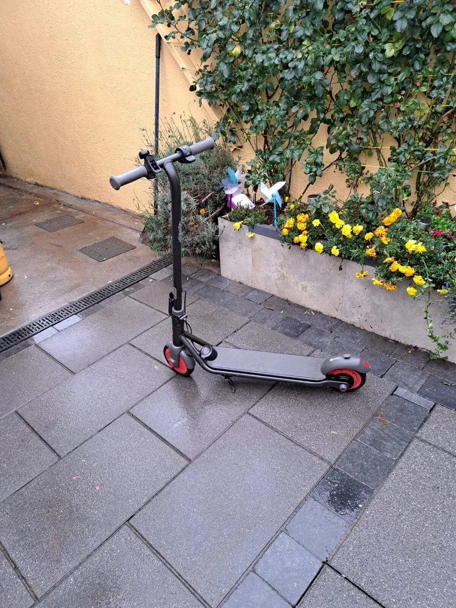 Segway Ninebot eKickScooter ZING C20 electric scoo