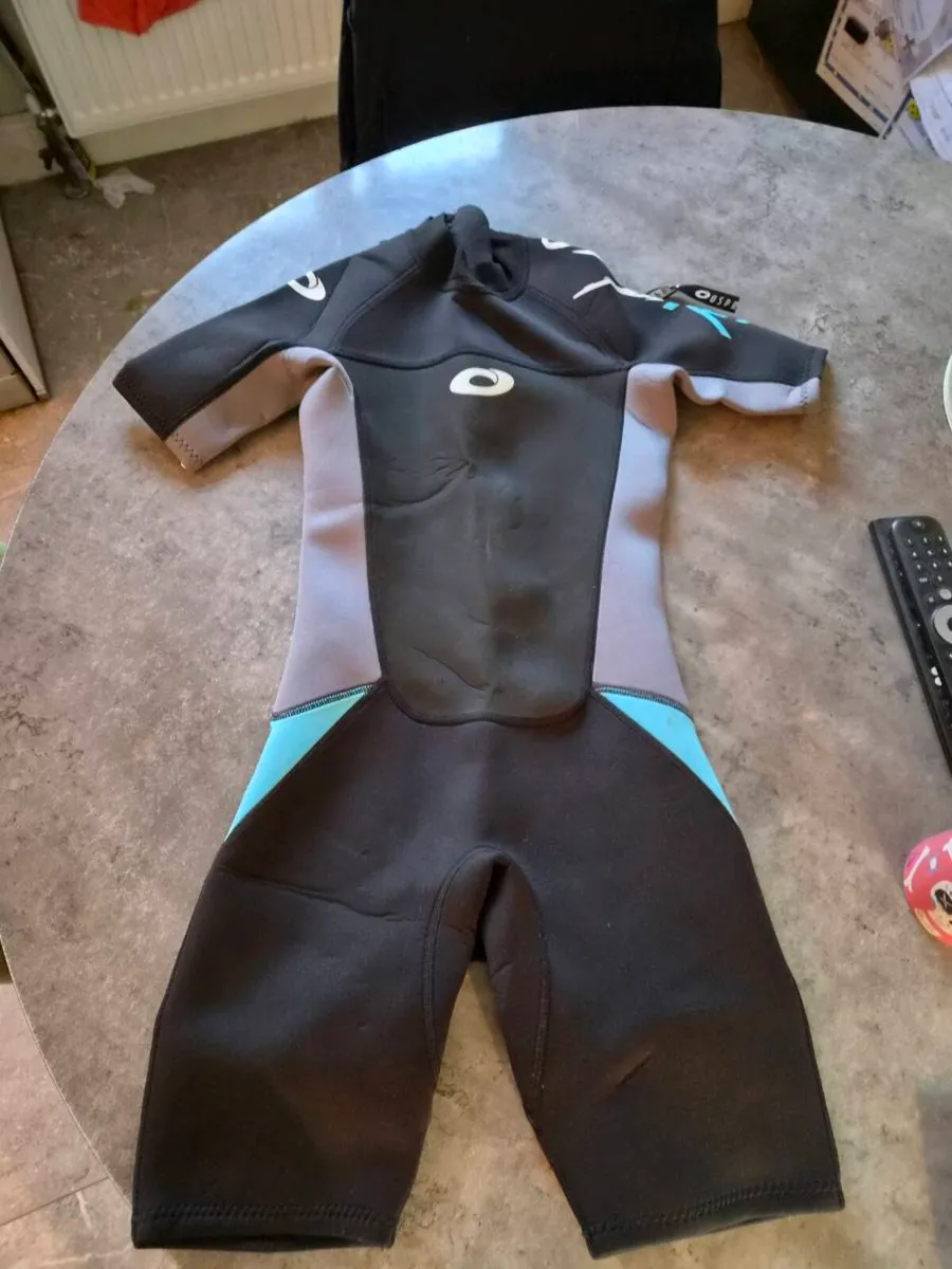 Wet suit