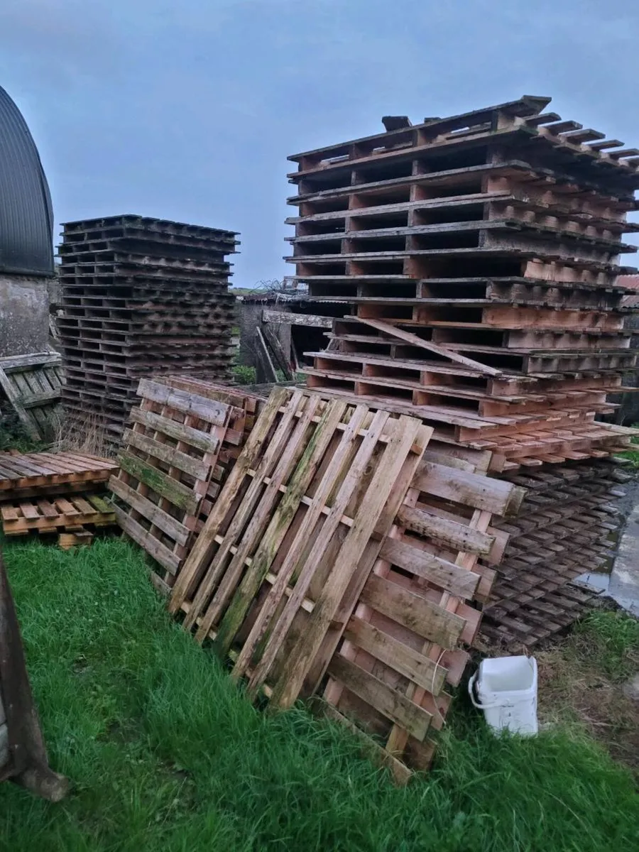 Firewood