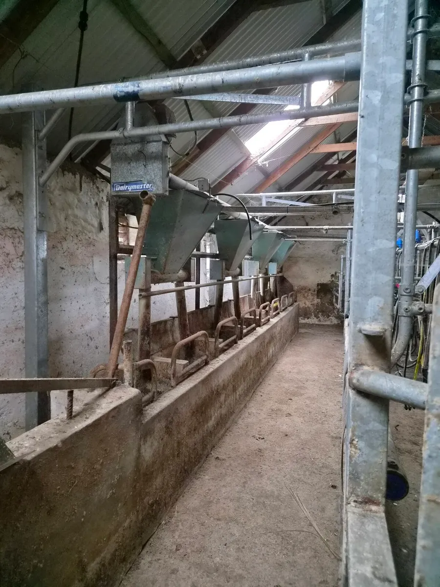 Dairymaster milking parlour,  cattle slats, tyres - Image 2