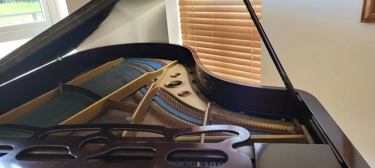 Grand piano - Image 2
