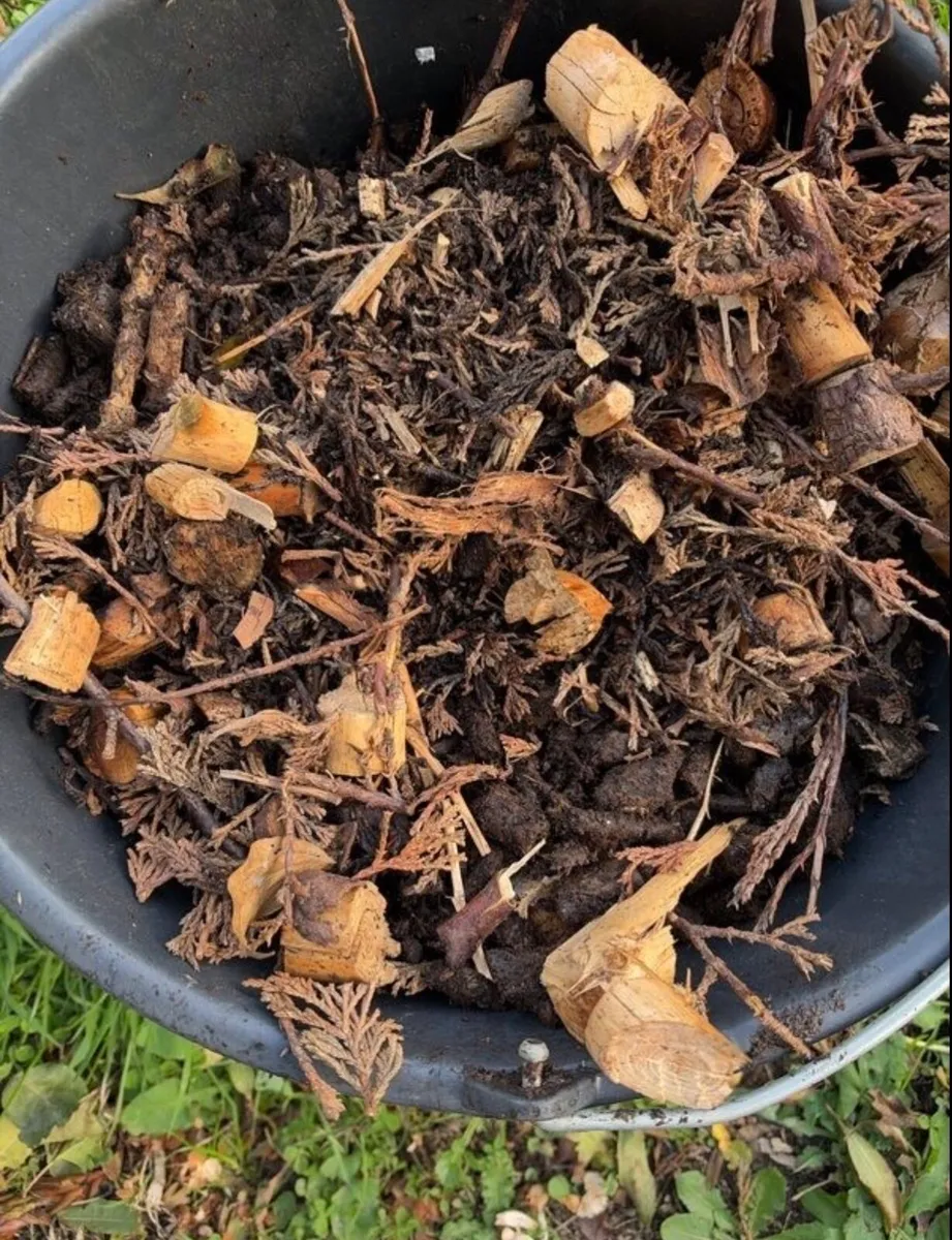 Wood chips