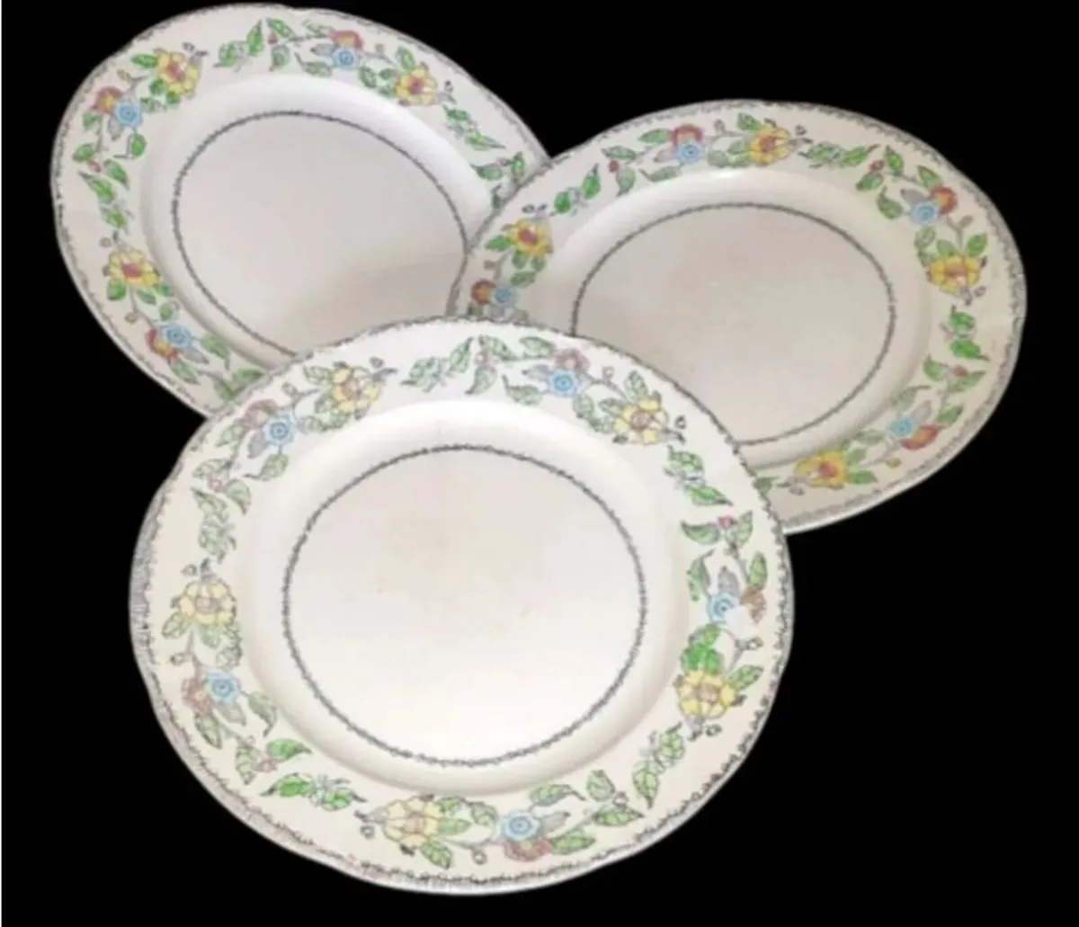 Vintage Jas. Broadhurst & Sons "Warwick"Plates - Image 4