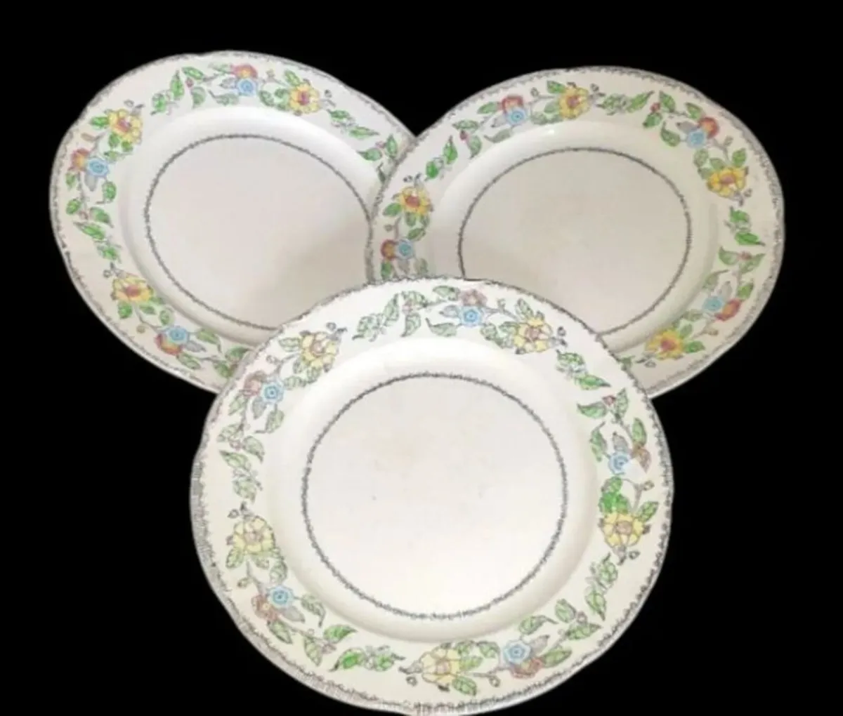 Vintage Jas. Broadhurst & Sons "Warwick"Plates - Image 1