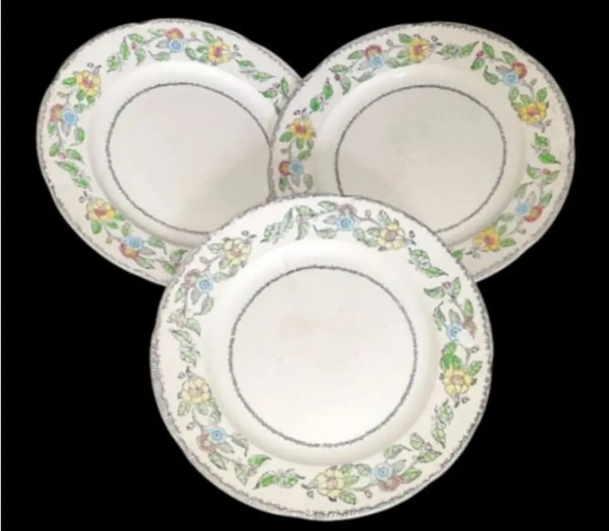 Vintage Jas. Broadhurst & Sons "Warwick"Plates - Image 2