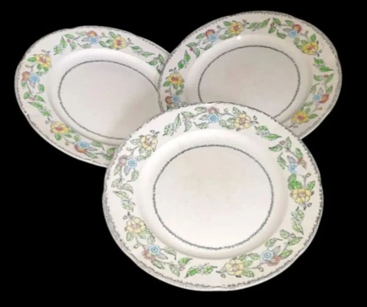 Vintage Jas. Broadhurst & Sons "Warwick"Plates - Image 3