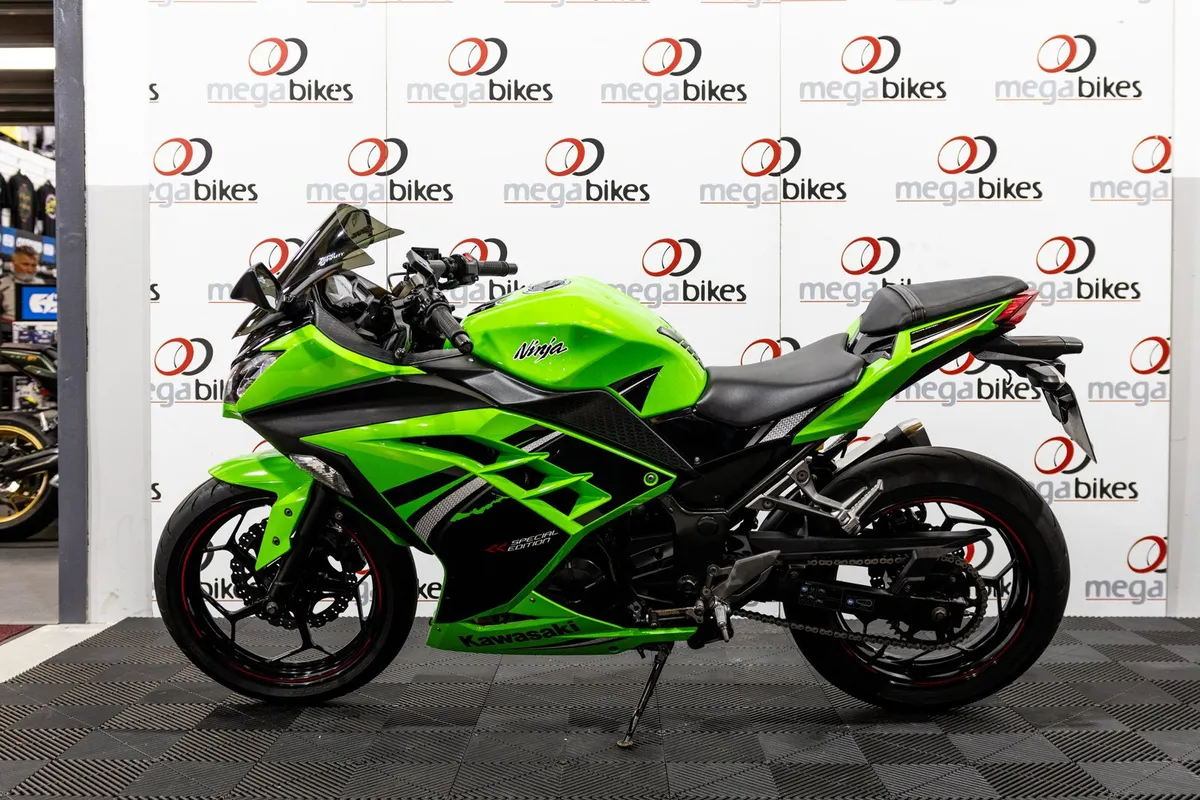 Kawasaki Ninja 300 SE 2015 - Image 2