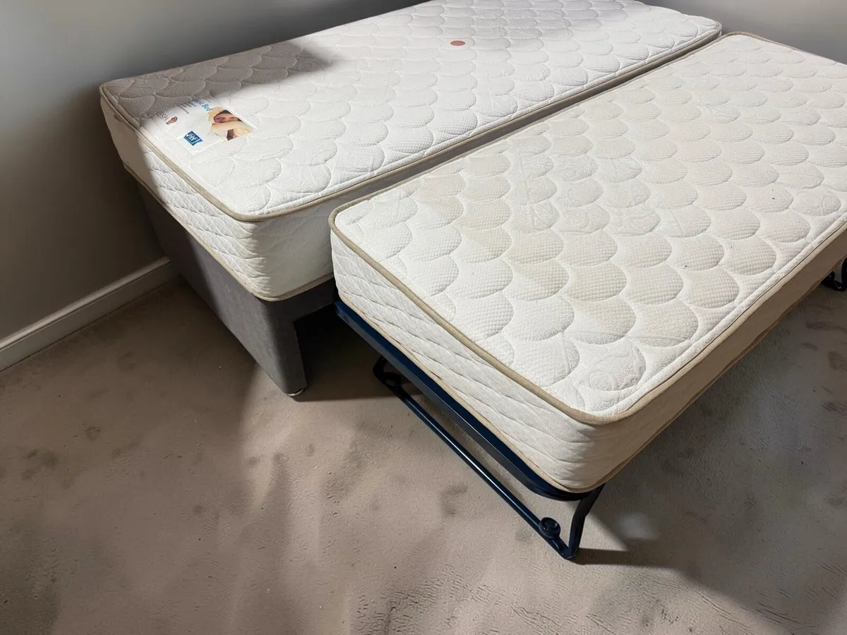 Day  bed with Trundle - Image 2