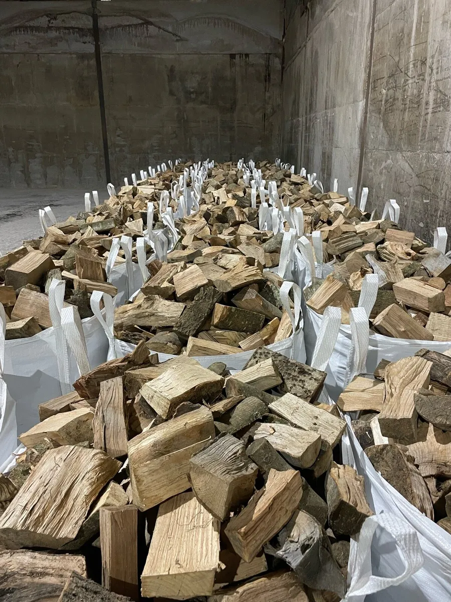 Firewood - Image 3