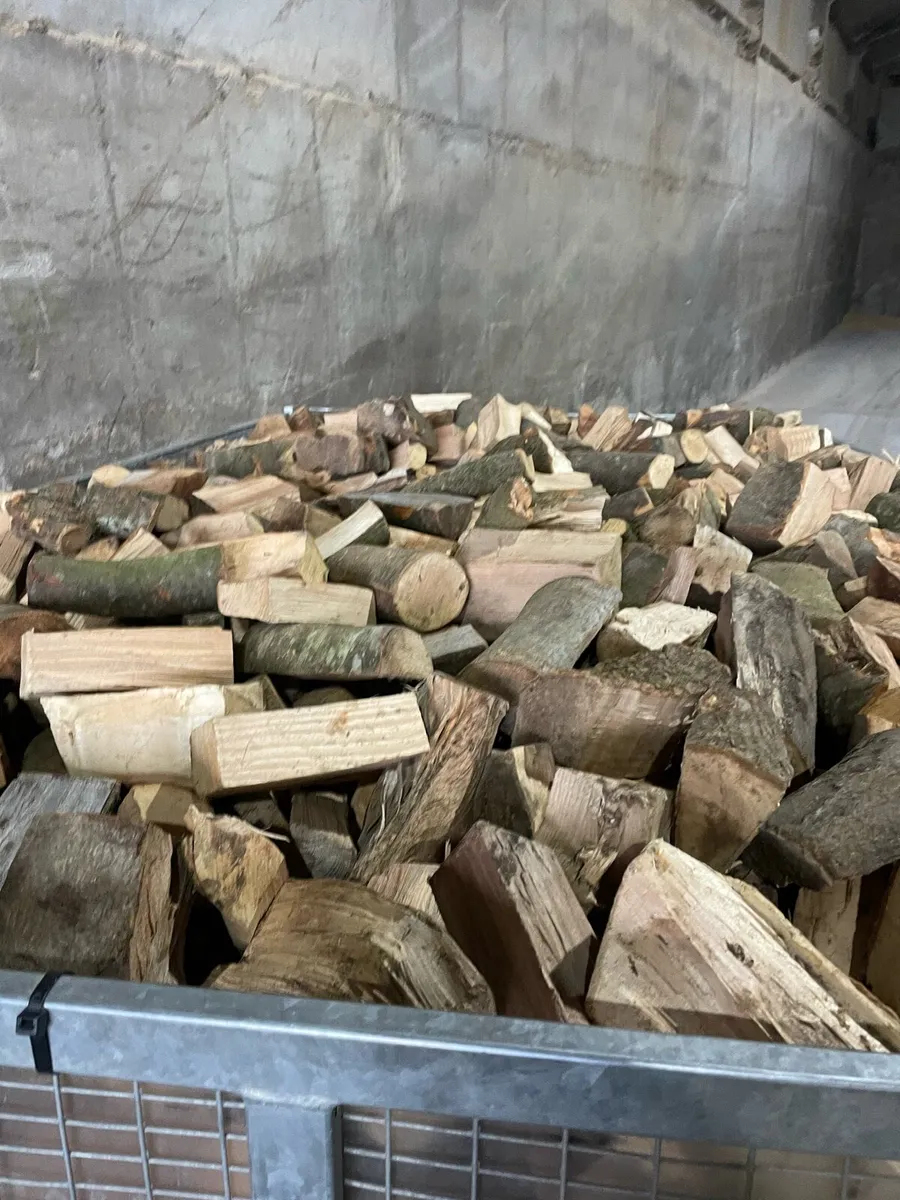 Firewood - Image 4