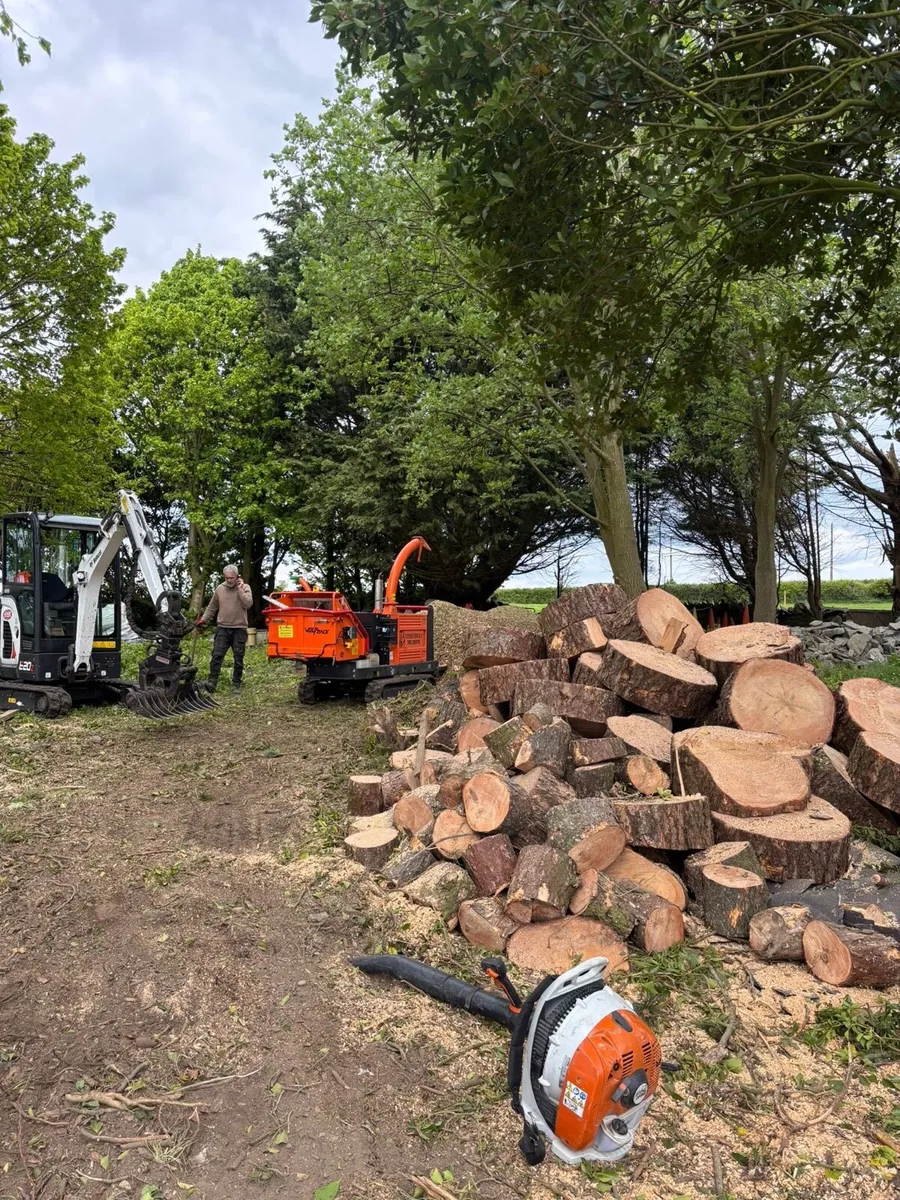 Tree surgery - Image 1