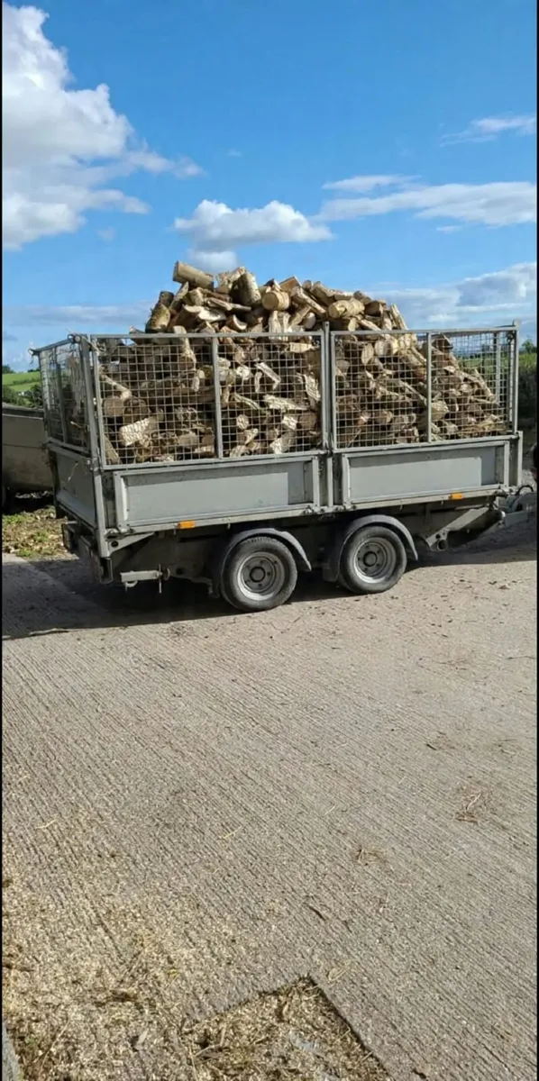 Ash Firewood Hardwood - Image 1