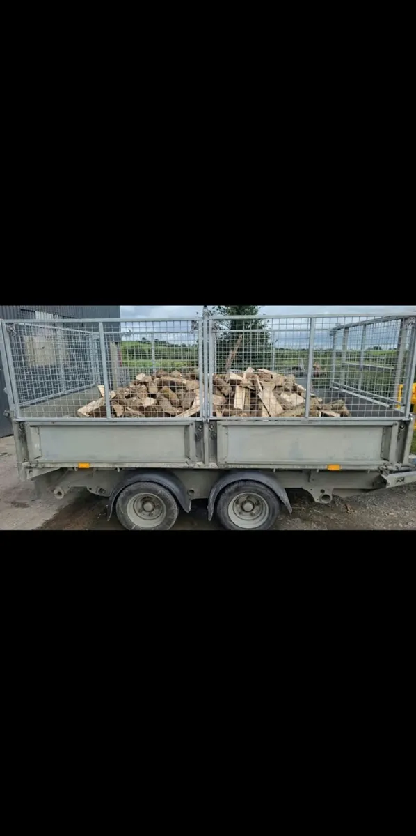 Ash Firewood Hardwood - Image 2