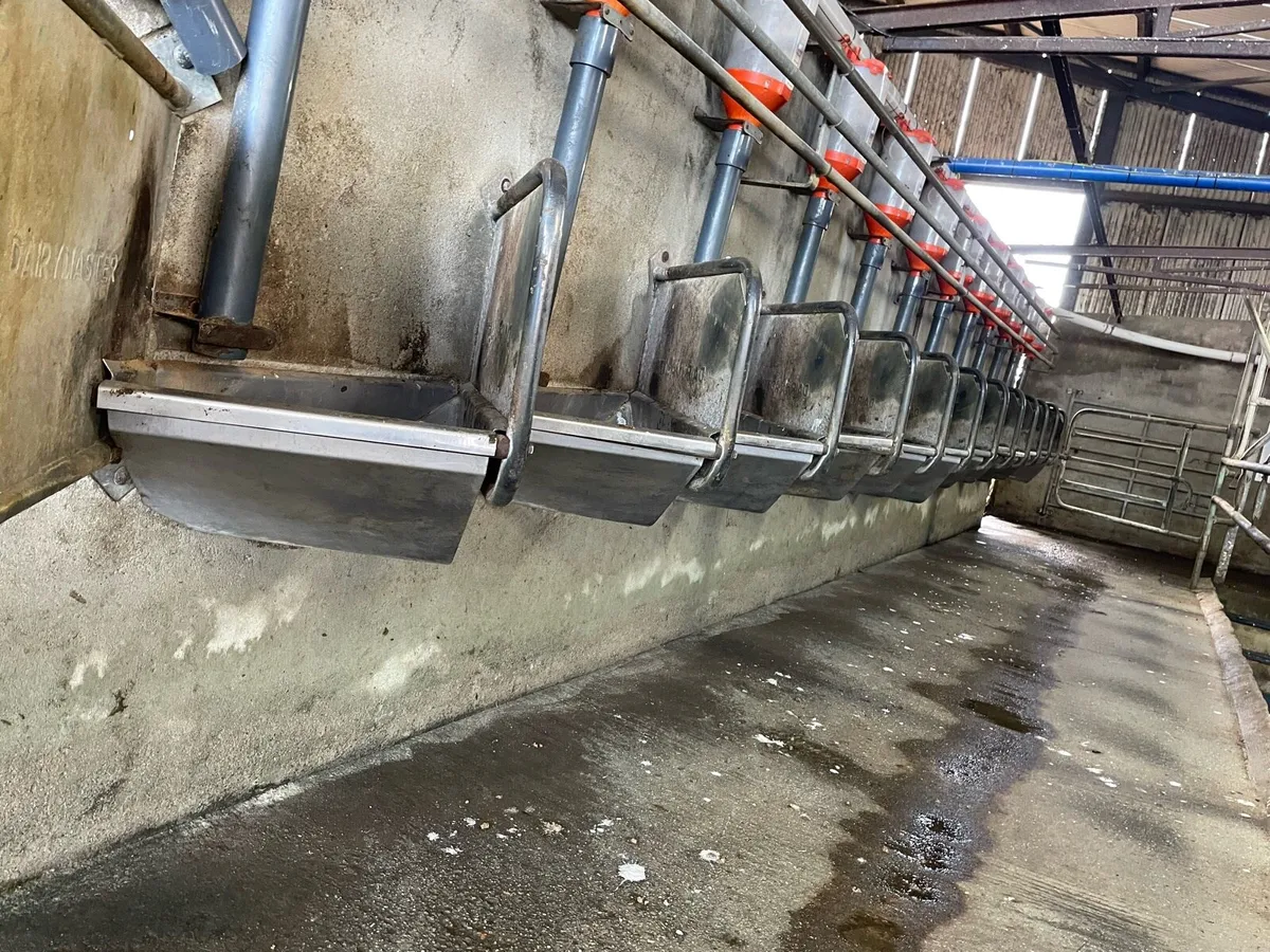 milking parlour - Image 1