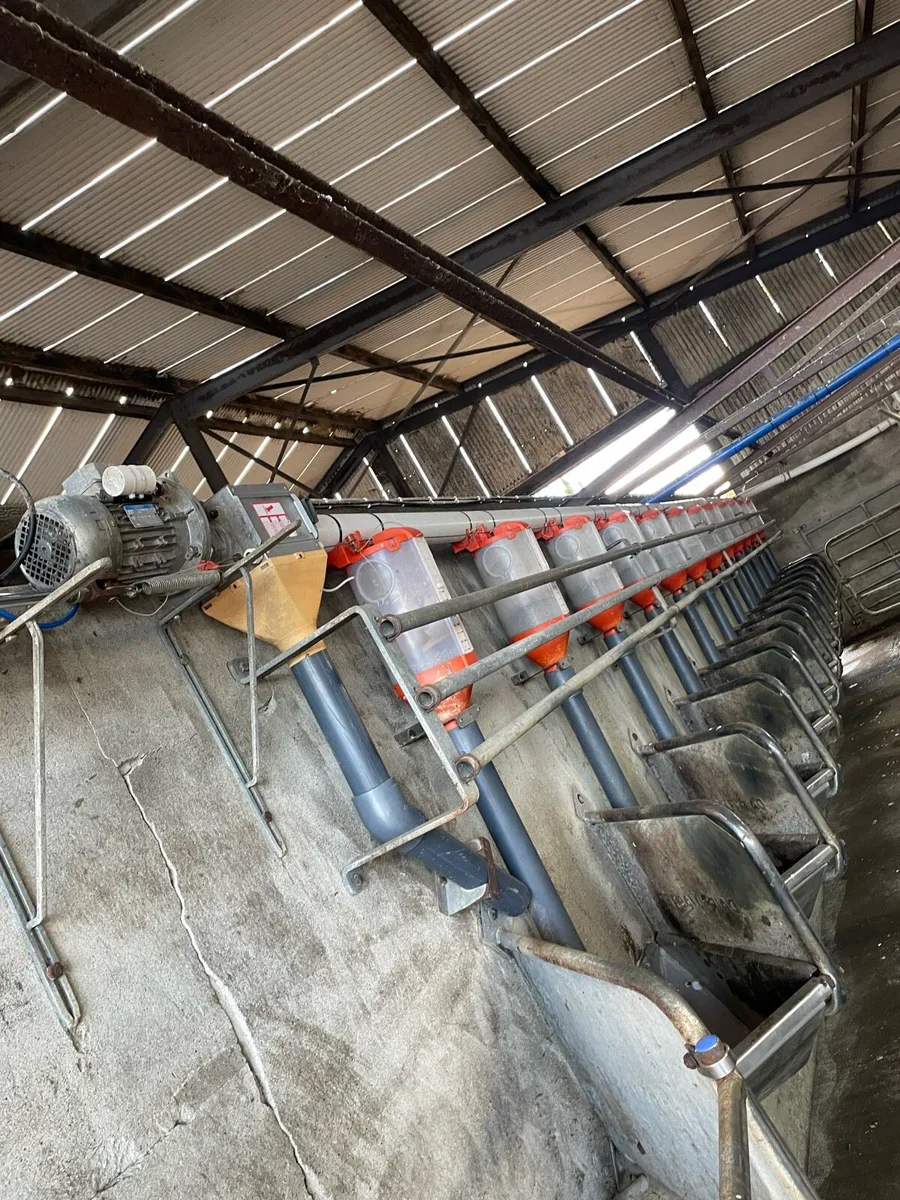 milking parlour - Image 2
